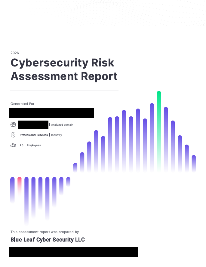 Cybersecurity Risk Assessment Report
